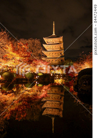 Kyoto Toji World Heritage Site in Autumn 84472449