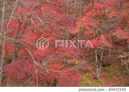 京都京都綾部市 84472540