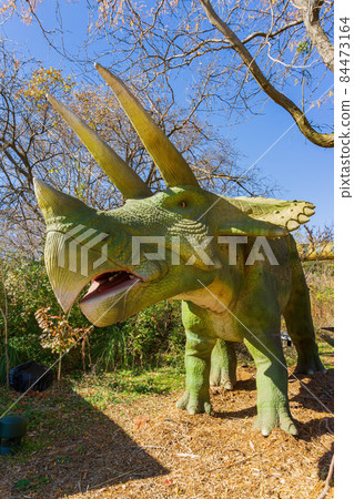 Close up shot of Protoceratops Dinosaur model 84473164