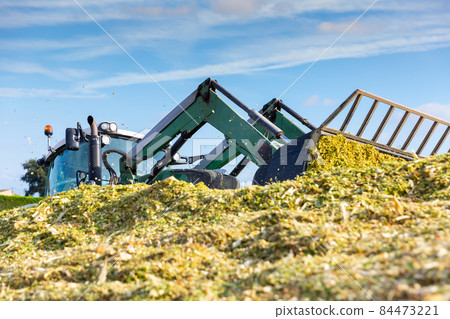 Harvesting of silage 84473221