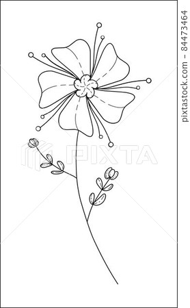 Minimalistic flower graphic sketch drawing floral botanic elements vector illustration 84473464