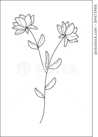 Minimalistic flower graphic sketch drawing floral botanic elements vector illustration Minimalistic flower graphic sketch drawing floral botanic elements vector illustration 84473466