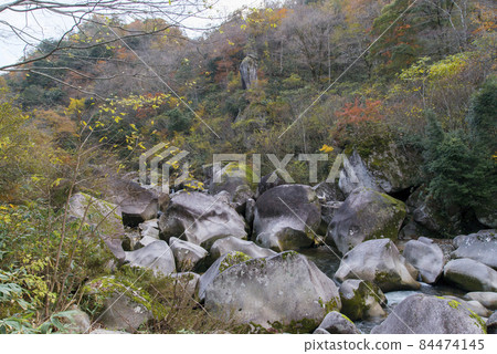 Oni-no-Shiver / Mizubiniwa(11月/紅葉季節) Oni-no-Shiver / Mizubiniwa(11月/紅葉季節) 84474145