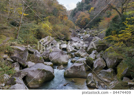 鬼之舌地震(11月/紅葉季節) 鬼之舌地震(11月/紅葉季節) 84474409