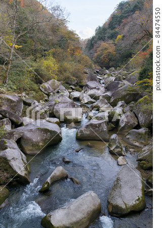 Oni no Tongue Earthquake (November / Autumn Leaves Season) Oni no Tongue Earthquake (November / Autumn Leaves Season) 84474550
