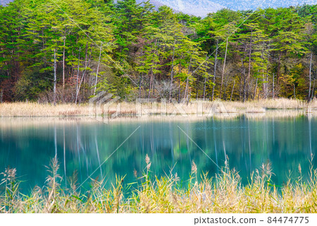 福島裡磐梯:五色沼周邊徒步路線的美麗景色,秋天的顏色 福島裡磐梯:五色沼周邊徒步路線的美麗景色,秋天的顏色 84474775