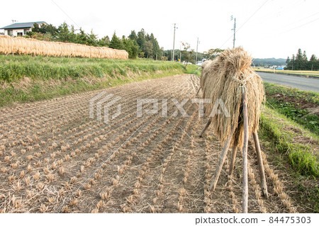 Rice Feast In the countryside of Tohoku 84475303