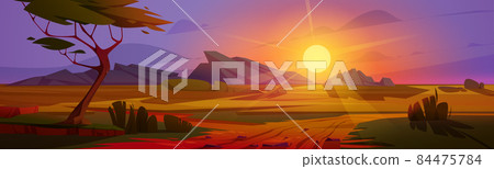 Sunset at African savannah landscape, wild nature Sunset at African savannah landscape, wild nature 84475784