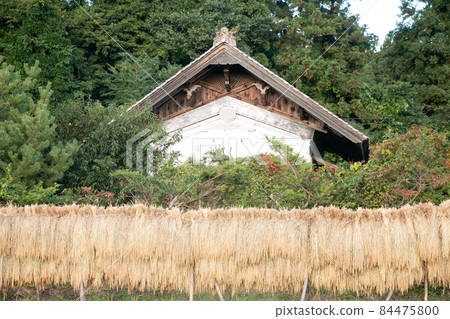A landscape of the countryside of Tohoku where rice and Japanese houses are reflected 84475800