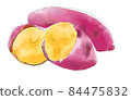 Watercolor-style roasted sweet potato 84475832