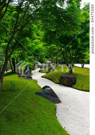 Mimuroto寺 84475899