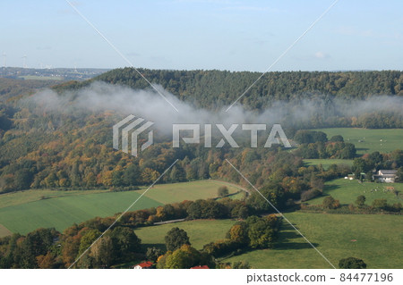 Cloud Forest 84477196