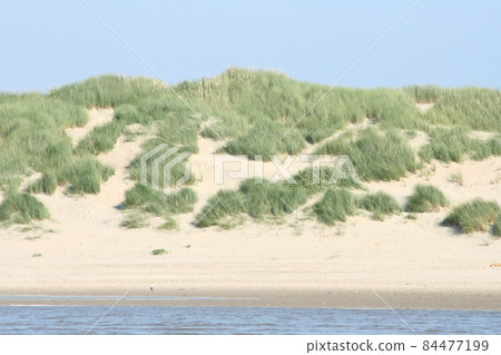 Dunes Dunes 84477199