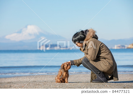 A MIX dog and its owner woman standing on the coast where you can see Enoshima and Mt. Fuji in winter 84477321