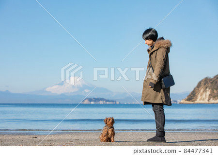 A MIX dog and its owner woman standing on the coast where you can see Enoshima and Mt. Fuji in winter 84477341