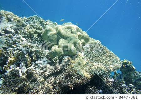 Underwater world Underwater world 84477361