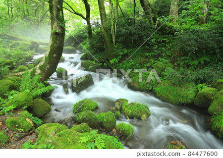 Oku Oyama Kiyazawa mountain stream 84477600