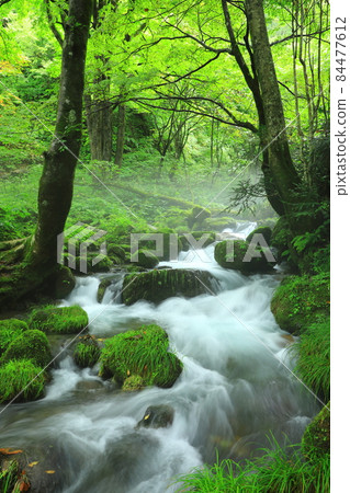 Oku Oyama Kiyazawa mountain stream 84477612