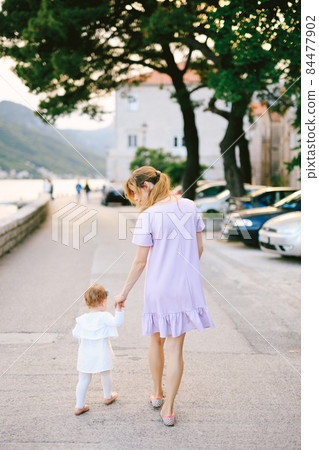 Mom leads her little daughter by the hand along the embankment of Perast city past cars and trees. Back view 84477902
