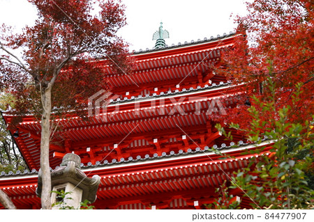 岐阜公園三層塔的秋景 岐阜公園三層塔的秋景 84477907