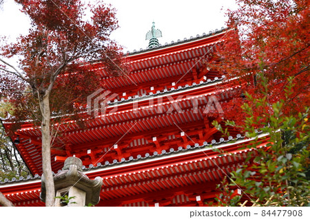 岐阜公園三層塔的秋景 岐阜公園三層塔的秋景 84477908