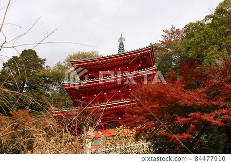 岐阜公園三層塔的秋景 岐阜公園三層塔的秋景 84477910