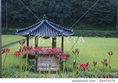 Pavilion near the entrance to Yongcheonsa Temple in Hampyeong Pavilion near the entrance to Yongcheonsa Temple in Hampyeong 84479374
