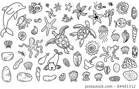 Various marine animals and fish. vector illustration in doodle style  84481312