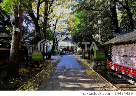 Tokiwadai Tenso Shrine, Itabashi-ku, Tokyo 84484429