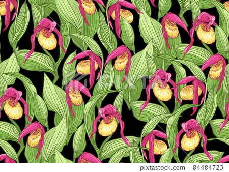 Lady's slipper orchid, Cypripedioideae, Seamless pattern, background. Vector illustration. 84484723
