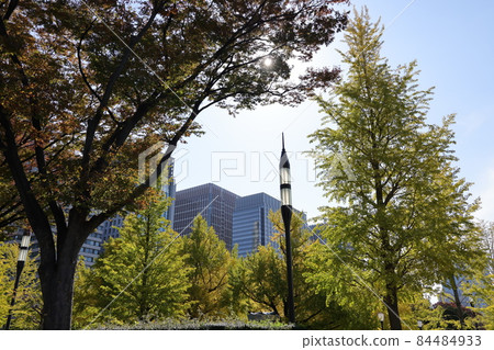 A row of yellow-leaved ginkgo trees on Gyoko-dori, Marunouchi, Chiyoda-ku, Tokyo A row of yellow-leaved ginkgo trees on Gyoko-dori, Marunouchi, Chiyoda-ku, Tokyo 84484933
