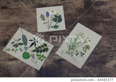 Pressed flower 84485377
