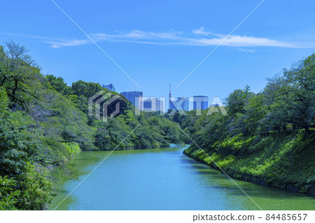 Buildings seen from "Chidorigafuchi" in Kudanzaka Park, Chiyoda Ward 84485657