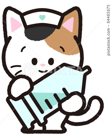 Calico cat with injection 84485875