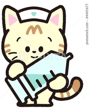 Tea tabby cat with injection 84485877