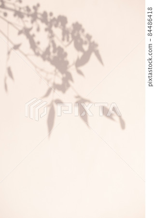 Plant shadows and margins 84486418