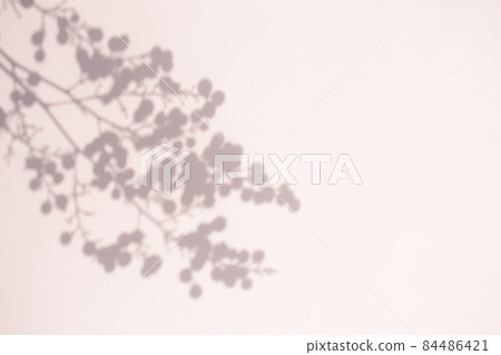 Plant shadows and margins Plant shadows and margins 84486421