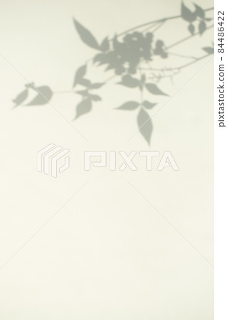 Plant shadows and margins 84486422