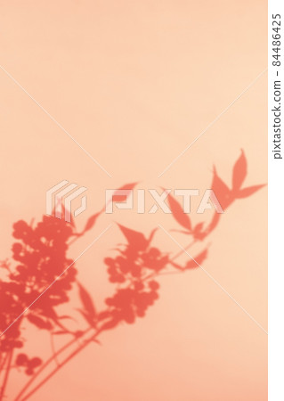 Plant shadows and margins 84486425