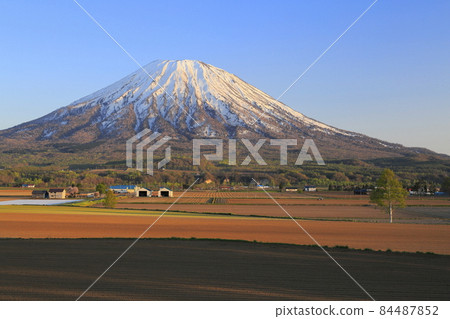 Kutchan Town Hachiman's Evening Field and Mt. Yotei Kutchan Town Hachiman's Evening Field and Mt. Yotei 84487852