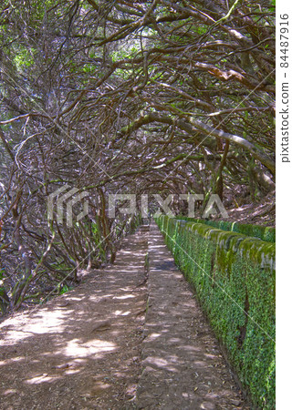nice scenery with water in Maderira island nice scenery with water in Maderira island 84487916