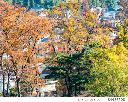 Autumn scenery, a park with beautiful autumn leaves Autumn scenery, a park with beautiful autumn leaves 84488508