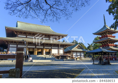 Naritasan Shinshoji Temple Ohondo和Triple Tower 84488653