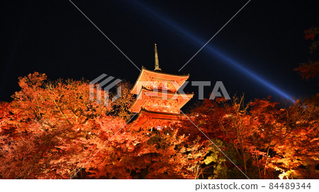 清水寺 84489344