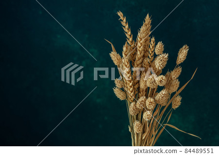 Minimalistic bouquet of beautiful dried flowers on dark background. 84489551