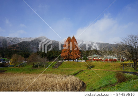 Around early winter Around early winter 84489616