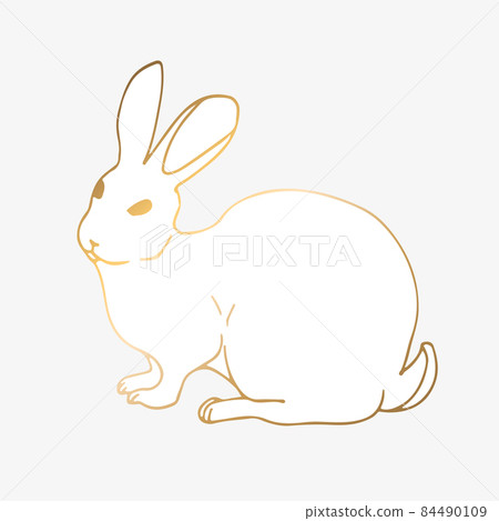 Hand drawing, vector illustration white rabbit with gold sitting. For print and web pages Hand drawing, vector illustration white rabbit with gold sitting. For print and web pages 84490109