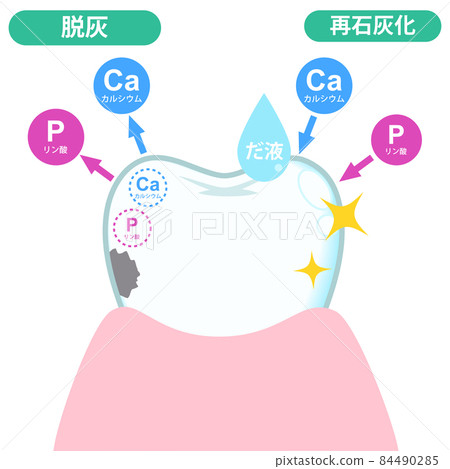 牙齒（圖片） 84490285