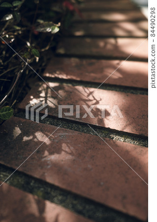 Shadow Shadow 84490298