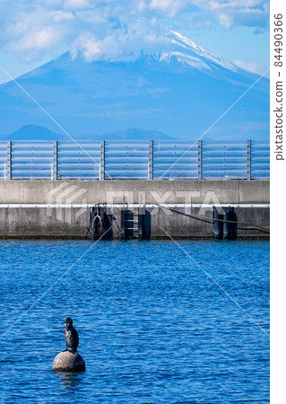 從江之島片瀨漁港眺望富士山（神奈川縣藤澤市） 84490366